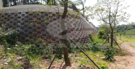 必发·bifa(中国集团)唯一官方网站