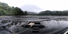 必发·bifa(中国集团)唯一官方网站